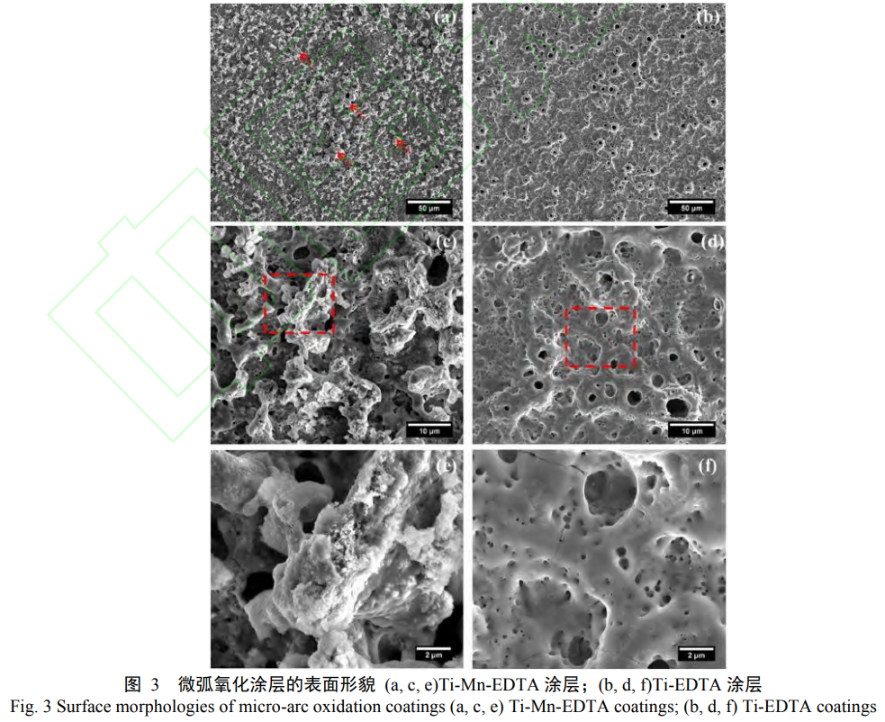 微弧氧化制備醫(yī)用鈦合金生物復(fù)合涂層研究進(jìn)展 微弧氧化制備醫(yī)用鈦合金生物復(fù)合涂層研究進(jìn)展