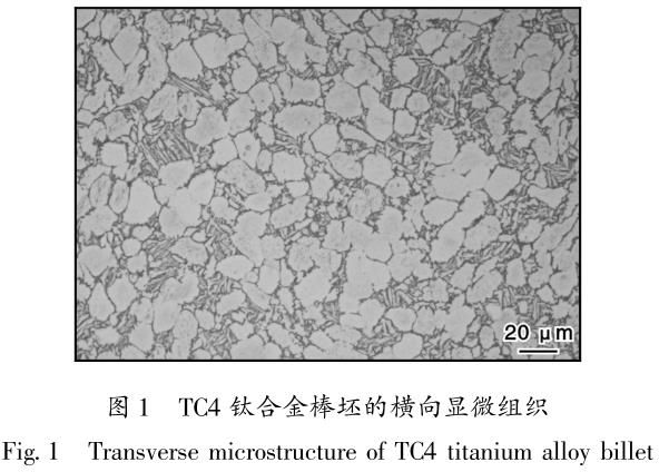 1695714901737927.jpg t1.jpg